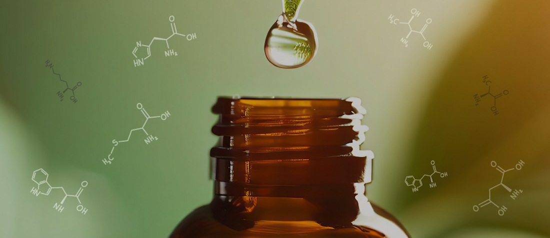 萜烯市場趨勢解析：哪些萜烯產品正在爆紅？