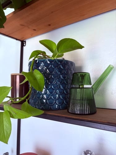 NWTN Home - Deco 泡泡壺