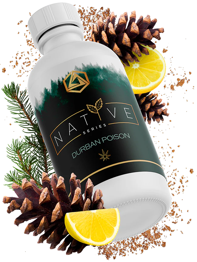 Abstrax Tech 萜烯 - 原生系列 - Sativa