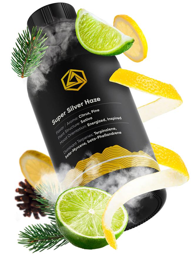 Abstrax Tech 萜烯 - 頂級品種風味譜 - Sativa