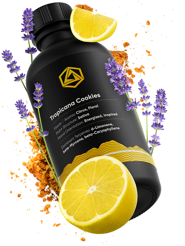 Abstrax Tech 萜烯 - 頂級品種風味譜 - Sativa