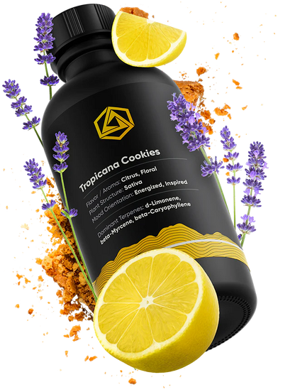 Abstrax Tech 萜烯 - 頂級品種風味譜 - Sativa