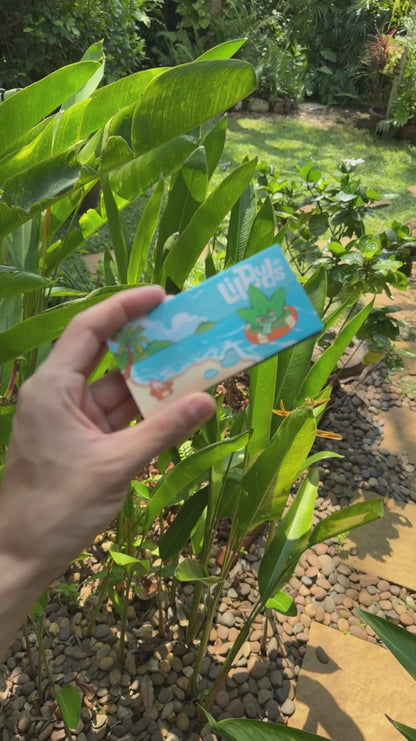 Lil Buds - All-in-One Rolling Kit｜三合一行動小廚房