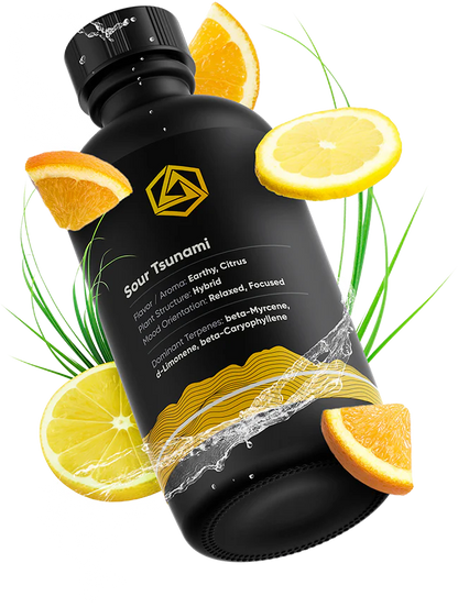 Abstrax Tech 萜烯 - 頂級品種風味譜 - Hybird