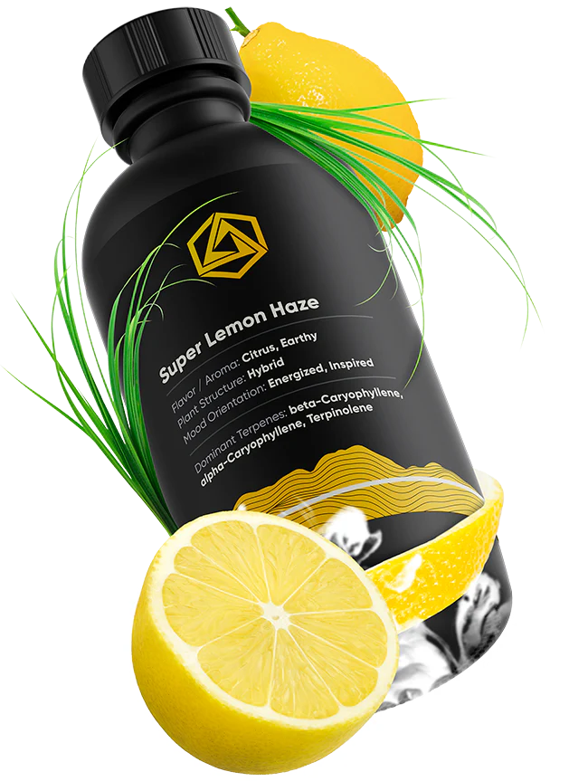 Abstrax Tech 萜烯 - 頂級品種風味譜 - Sativa